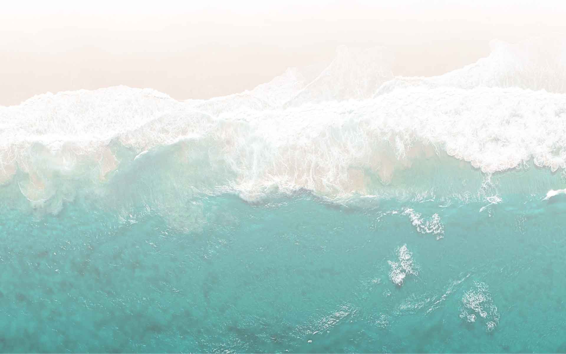 Decorative image of a beach shore